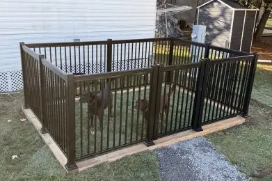 Premium overnight site with dog run